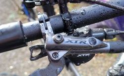 Bischi Carbon Hardtail – Shimano XTR/XT 11-fach – Carbon Laufräder &amp; Stages Powermeter kaufen in Zürich #2 | velomarkt.ch