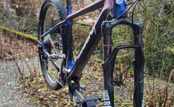 Bischi Carbon Hardtail – Shimano XTR/XT 11-fach – Carbon Laufräder &amp; Stages Powermeter kaufen in Zürich #4 | velomarkt.ch