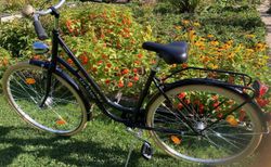 Damenfahrrad Klassiker Hollandrad!  190.- | Damenfahrrad Citybike. | velomarkt.ch