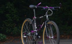 Trek Single Track 970 Retro MTB - Preis reduziert! kaufen in Berne #3 | velomarkt.ch