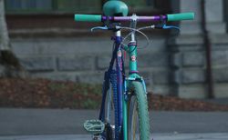 Giant Escaper Retro Mountainbike kaufen in Bern #5 | velomarkt.ch
