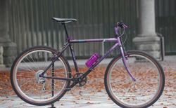 Giant Granite Retro MTB | Mountainbike Lila Gr. S/M - Lieferbar | velomarkt.ch