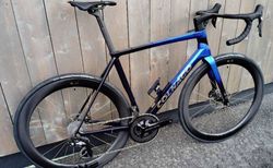 Colnago C68 Fleur-De-Lys kaufen in Ticino #1 | velomarkt.ch