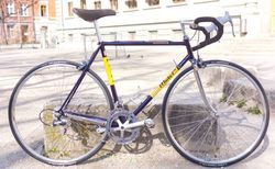 Rennvelo Francesco Moser, Komplett-Restaurierung, Gr.55 kaufen in Basel-Stadt #1 | velomarkt.ch