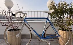 Scapin 1984 Columbus Aelle – Shimano 600 Dual Sprint – Cinelli Lenker – Dolphin Sattel – Sammlerstück kaufen in St. Gallen #1 | velomarkt.ch