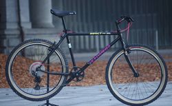 Schwinn Impact Pro Retro MTB Mountainbike | Gr.M - Lieferbar | velomarkt.ch