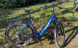 Damen E-Bike mit Bosch Performance CX Motor kaufen in Argovie #1 | velomarkt.ch