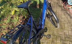 Damen E-Bike mit Bosch Performance CX Motor kaufen in Argovie #4 | velomarkt.ch