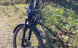Damen E-Bike mit Bosch Performance CX Motor kaufen in Argovie #5 | velomarkt.ch