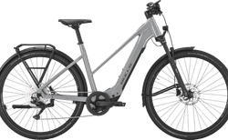 Bulls Cross Lite Evo Sx 1 | alpine grey, S, SHIMANO Deore RD-M5120 shadow | velomarkt.ch