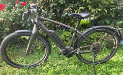 Diamant Zouma+ 45km/h kaufen in Solothurn #2 | velomarkt.ch