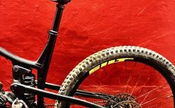 Propain Tyee AL 29" Grösse XL kaufen in Basilea-Città #3 | velomarkt.ch
