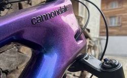 Jeckil Carbon kaufen in Grisons #2 | velomarkt.ch