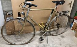 Velo homme Kristall - 12 vitesses | Velo homme Kristall - 12 vitesses | velomarkt.ch