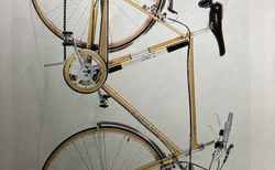 Velo homme Kristall - 12 vitesses kaufen in Vaud #2 | velomarkt.ch