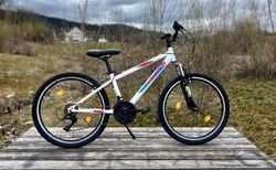 Coyote 24" Kindervelo (Fast wie Neu) Preis VHB kaufen in Zurich #5 | velomarkt.ch