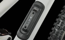 Cube Cube Stereo ONE55 C:62 Race 29 lightgrey´n´grey M lightgrey´n´grey kaufen in Grigioni #4 | velomarkt.ch