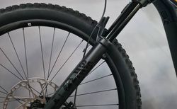 Giant Trance X E+ 1 800Wh XT Fox L kaufen in St. Gallen #3 | velomarkt.ch