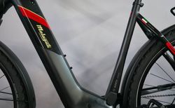 Malaguti Cortina WV 6.0 RD 750Wh Bosch CX L kaufen in St. Gallen #3 | velomarkt.ch