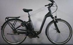 Flyer Gotour 5 630Wh Nexus Trekking L kaufen in St. Gallen #5 | velomarkt.ch