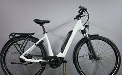 Flyer Upstreet 5 5.40 630Wh Nexus XL kaufen in St. Gallen #3 | velomarkt.ch