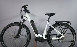 Flyer Upstreet 5 5.40 630Wh Nexus XL kaufen in St. Gallen #5 | velomarkt.ch