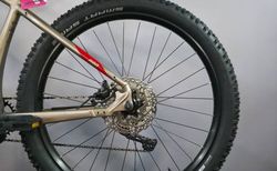 Corratec E-Power X-Vert Pro Gent 750Wh XT L kaufen in Saint-Gall #3 | velomarkt.ch