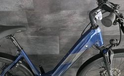 Morrison E 10.0 Wave ABS 750 Bosch CX Smart Kiox kaufen in San Gallo #5 | velomarkt.ch