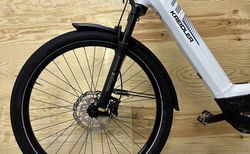 Kreidler Vitality Eco 10 Bosch CX XT 500Wh M/L kaufen in St. Gallen #3 | velomarkt.ch