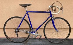 Basso Rennvelo | Schöner klassischer Renner | velomarkt.ch