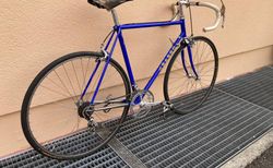 Basso Rennvelo kaufen in Berne #2 | velomarkt.ch