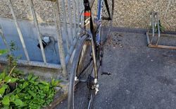 Simplon Pavo Carbon-Rennrad – Campagnolo – Top Zustand (wie neu!) kaufen in Graubünden #2 | velomarkt.ch