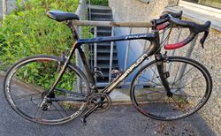 Simplon Pavo Carbon-Rennrad – Campagnolo – Top Zustand (wie neu!) | Vollcarbon Rennrad | velomarkt.ch