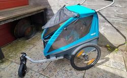 Remorque à vélo Thule Chariot (2 enfants) | Thule en excellent état | velomarkt.ch