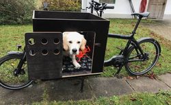 Hundebox für Bullit Lastenvelo | gebrauchte Hundebox in Topzustand! | velomarkt.ch
