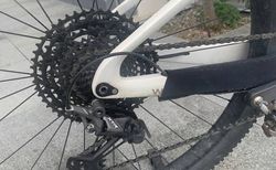 Carbon Bike Thömus Lighrider 29" kaufen in Berne #2 | velomarkt.ch