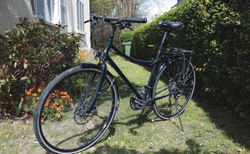 Aarios Citybike | In top Zustand | velomarkt.ch