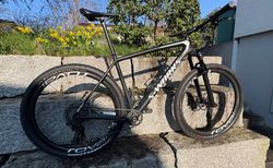 Specialized S-Works Epic Hardtail XX1 Eagle, XL kaufen in Zürich #3 | velomarkt.ch