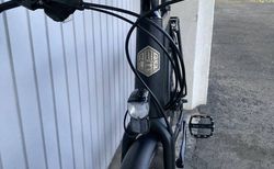 Ampler Curt 1 Gen (2000km 85% battery capacity) kaufen in Zürich #5 | velomarkt.ch