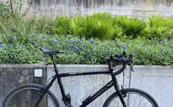 BMC Gravelbike | BMC Alpenchallange Gravelbike | velomarkt.ch