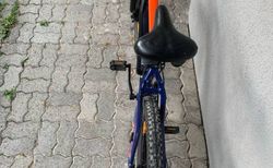 E-Mountainbike kaufen in Berna #4 | velomarkt.ch