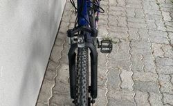 E-Mountainbike kaufen in Berna #5 | velomarkt.ch