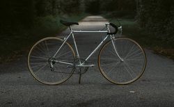 Vintage-Rennrad GERBER ca. 1981 - Campagnolo - Rahmen: 52cm | ehrwürdiger Scheunenfund glänzt wieder | velomarkt.ch