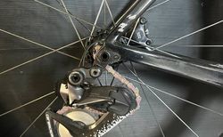 Wilier Filante SLR Rahmenset - TDF25 - Grösse M kaufen in Berne #2 | velomarkt.ch