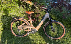 Cresta eViva GT Style LTD Mono | Rosa-Metallic-Matt, 46 cm / 18", Shimano Deore 10 Gang | velomarkt.ch