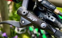 YT INDUSTRIES CAPRA CF PRO RACE CARBON kaufen in Bern #2 | velomarkt.ch