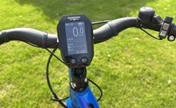 Damen E Bike kaufen in Basilea-Campagna #1 | velomarkt.ch