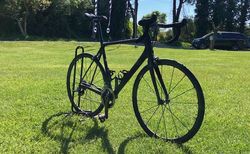 Scott Addict SL (HMX-SL Carbon) – Ultraleicht (6.7kg) – SRAM Red22 – Gr. XL/58 | Scott Addict SL | velomarkt.ch