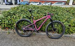 Specialized Epic S-works wc neu | Neu | velomarkt.ch