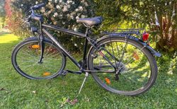 Lindau Ortler S kaufen in Zürich #3 | velomarkt.ch